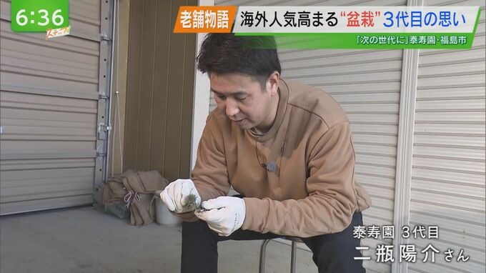 写真1