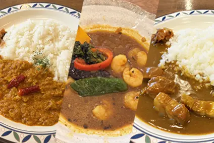スパイシーインドカリー/オリジナルポークカレー/えびのスープカレー