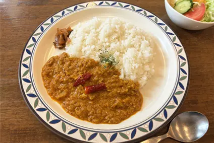 スパイシーインドカリー