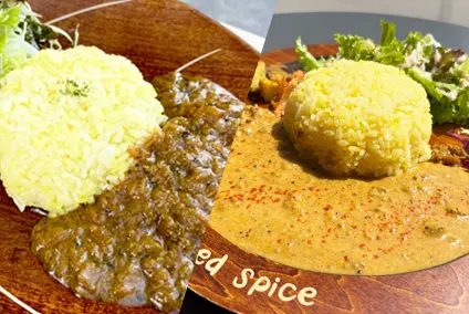 Lilサバイカレー／ココナッツキーマカレー
