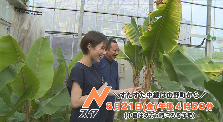 6月21日(金)のNスタ・すたすた中継は福島・広野町から!│TUF