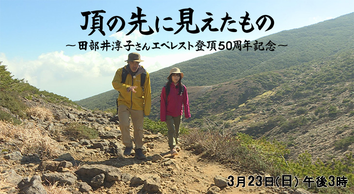 タイトル